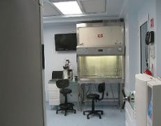 Slider image (5) World Stem Cells